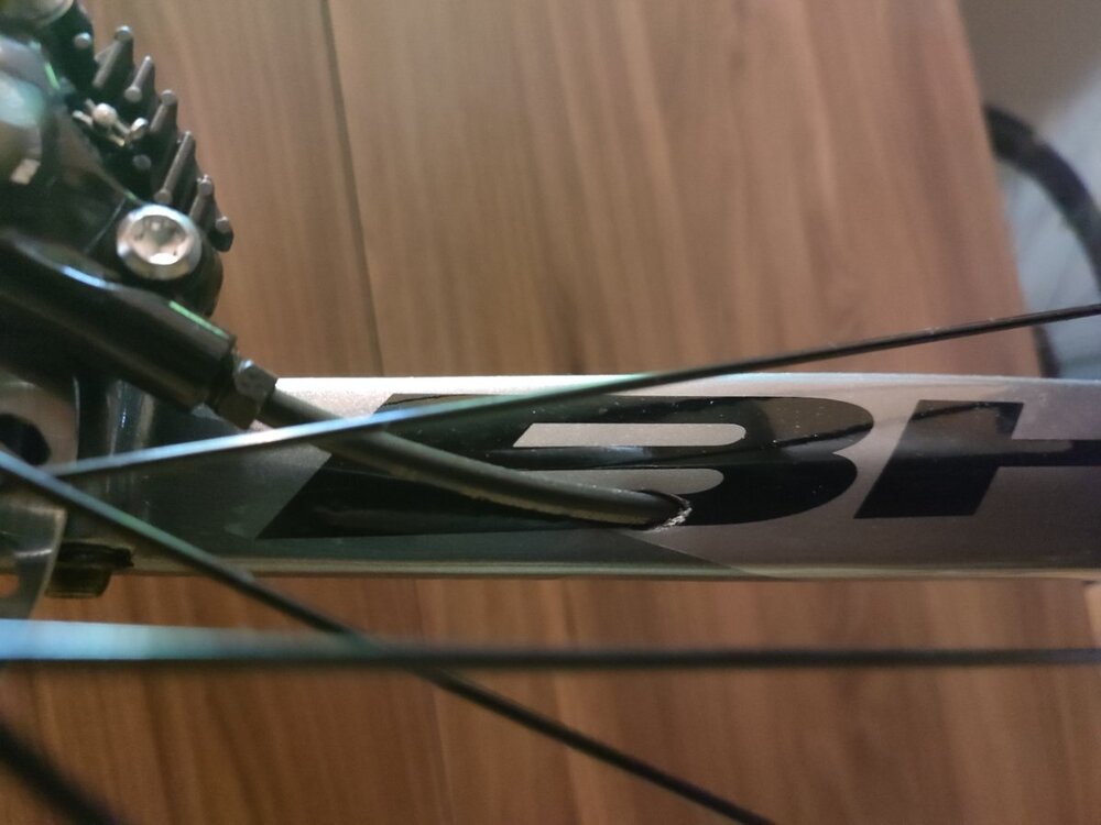 IMG_20211205_194425_Easy-Resize.com (1).jpg