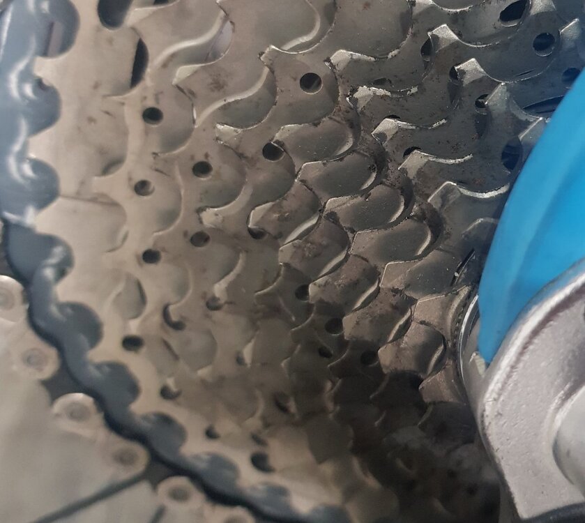 20220405_161831 (2).jpg