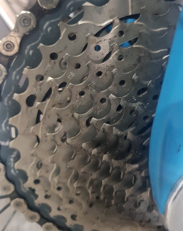 20220405_161907 (2).jpg