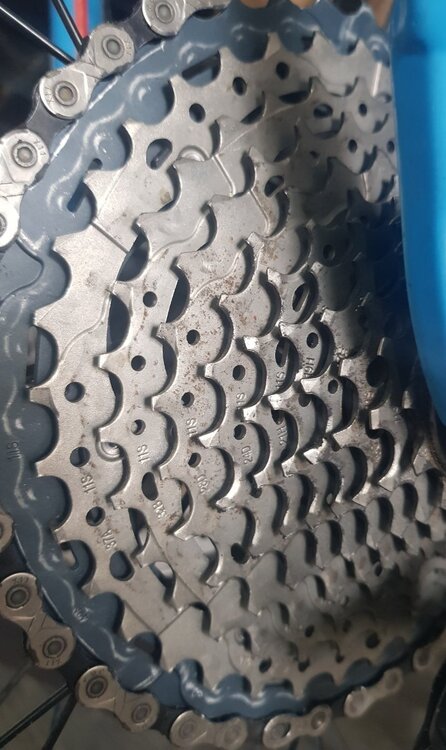 20220405_161815 (2).jpg