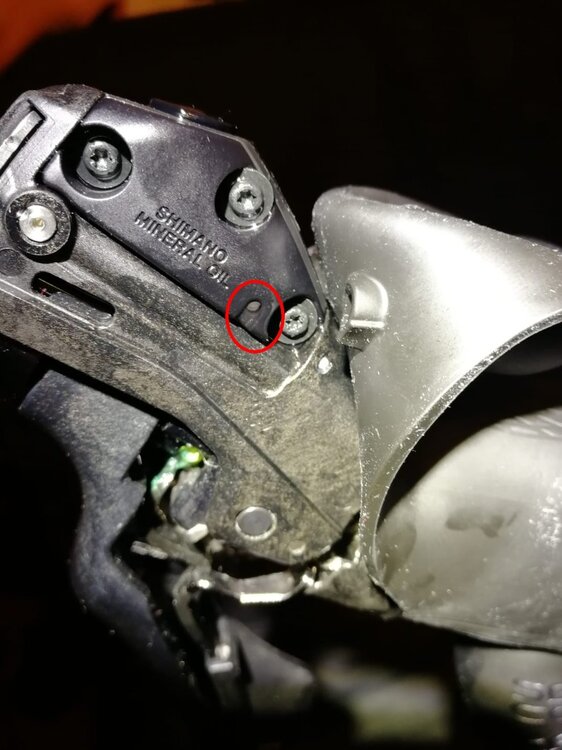 Zdjęcie WhatsApp 2023-01-21 o 20.15.11.jpg