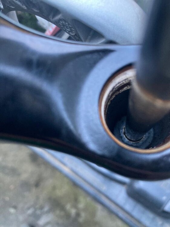 PHOTO-2023-03-14-20-32-53 13.jpg