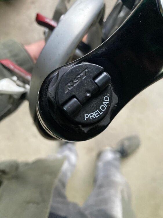 PHOTO-2023-03-14-20-32-53 4.jpg