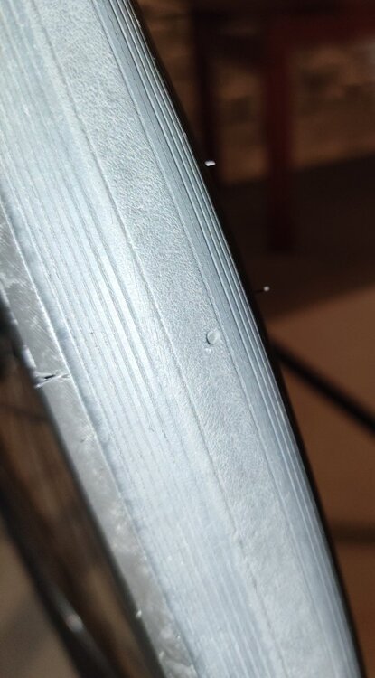 IMG_20250920_185048 (1).jpg