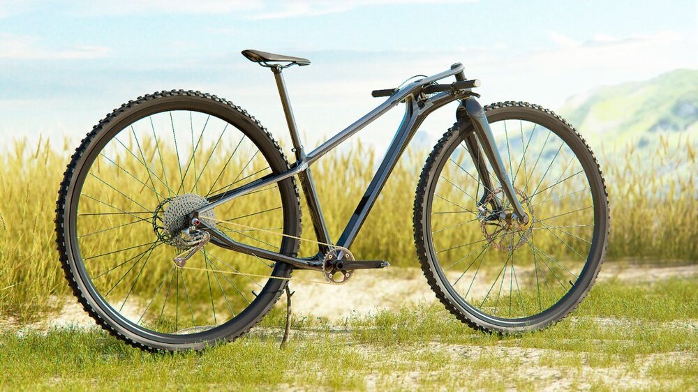 ridiculous_39er.jpg