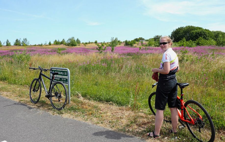 Rowerem na Bornholm co warto wiedzieć przed wyjazdem?