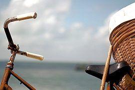 Sennik rower