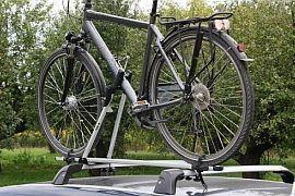 Taurus Bike Up Test