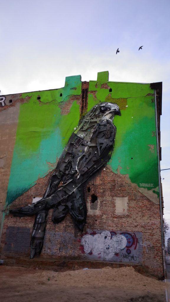 Jerzyk ptak Łódź Kilińskiego
