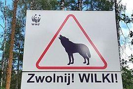Trasy Rowerowe Mazury