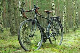 Fuji Touring