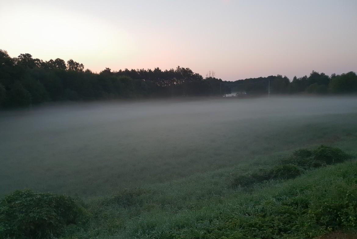 Poranna mgła Poranna mgła