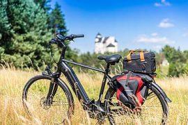 Batavus Finez Power