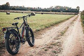 Jobobike Robin